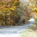 Randolph Road