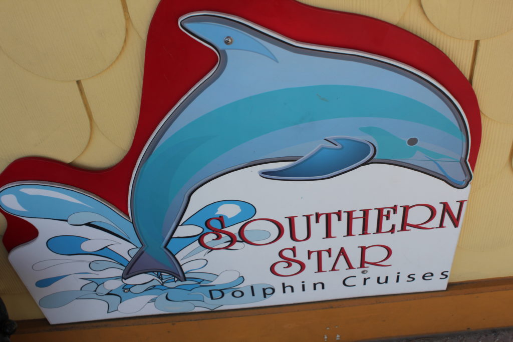 southern star dolphin cruise
