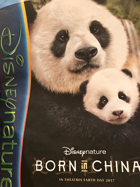 Born in China Panda