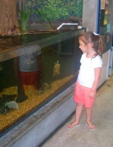 abby and turtle