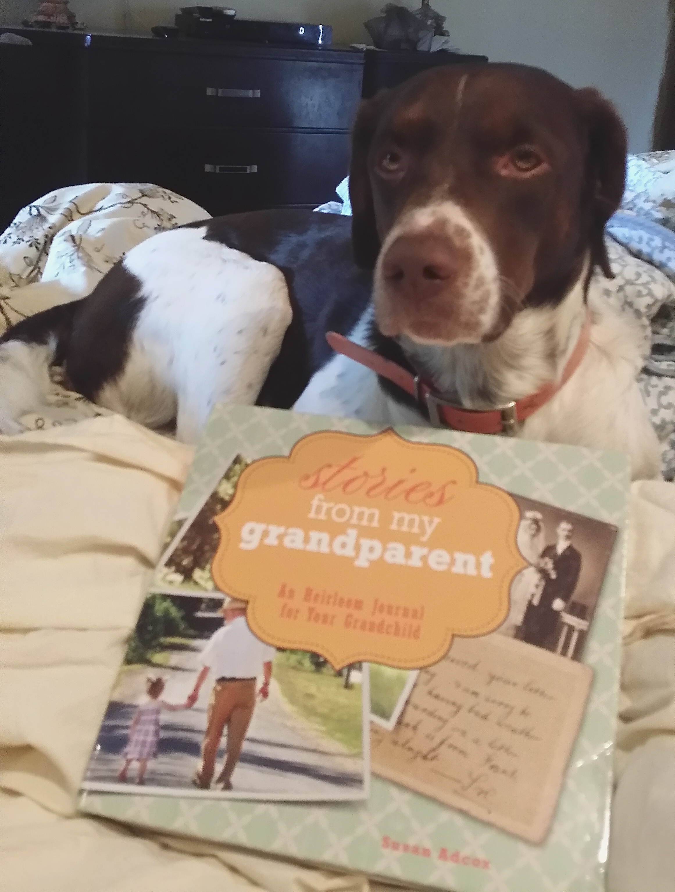 Stories from my grandparent-Book Review