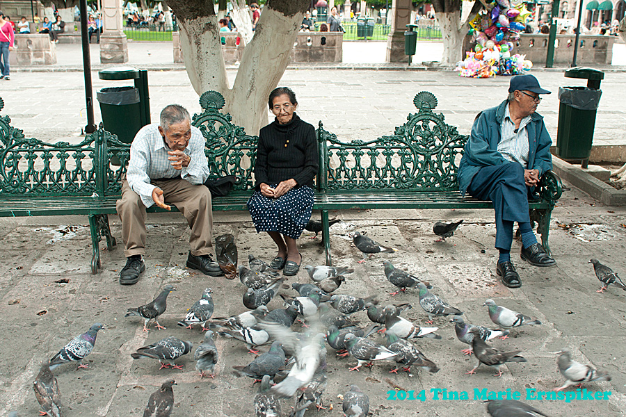 Park with older couple feeding pigeons.
