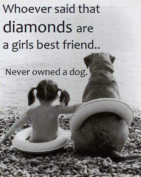 top_dog_quotes_best_friend
