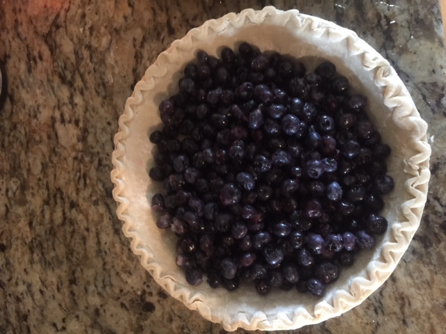 Blueberry Pie At Nanas House