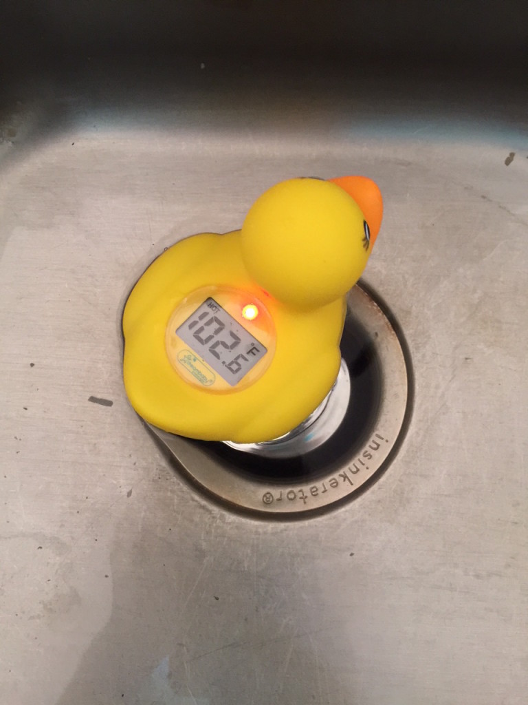 hot duck