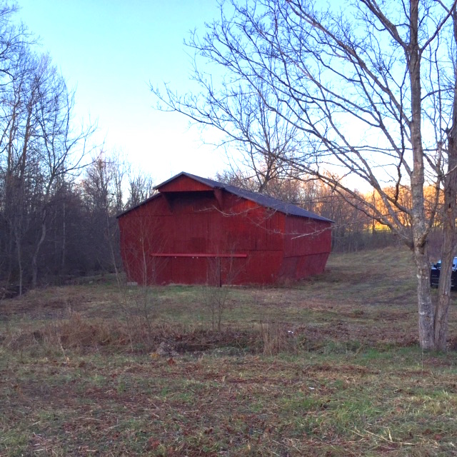 Bella, A Barn and Some Trees