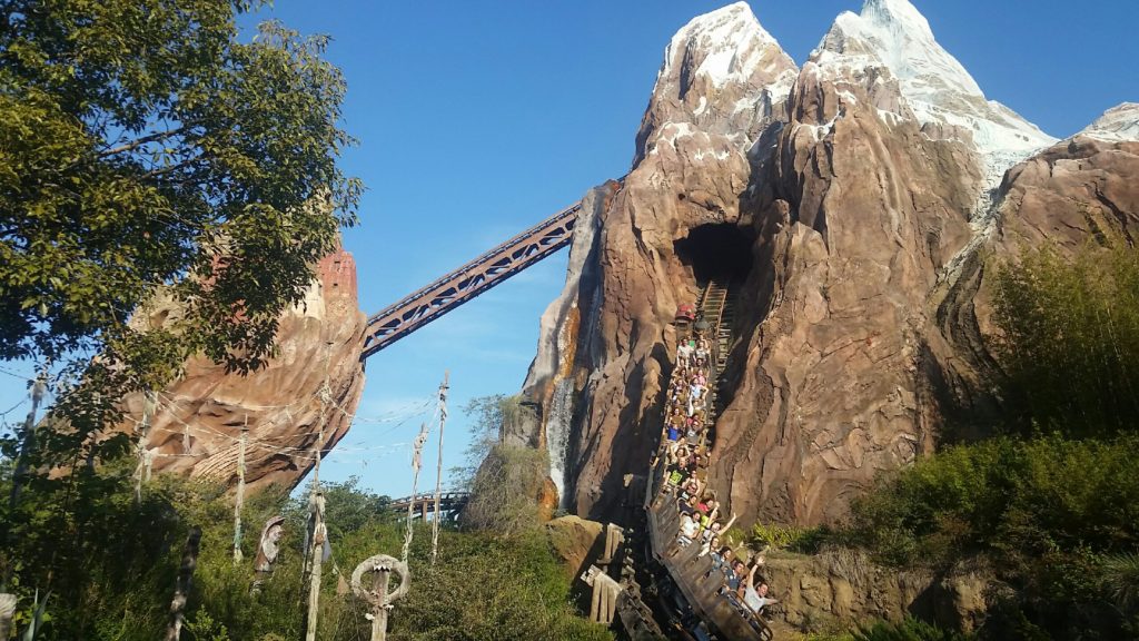 roller coasters in Disney World