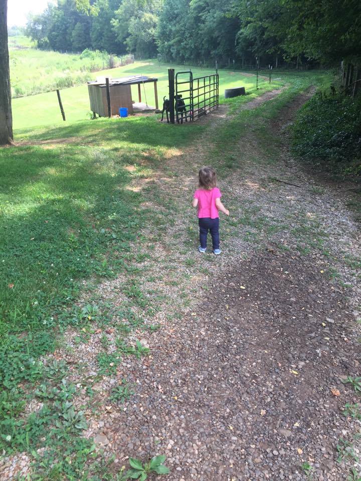 Grandchildren and The Road Less Traveled