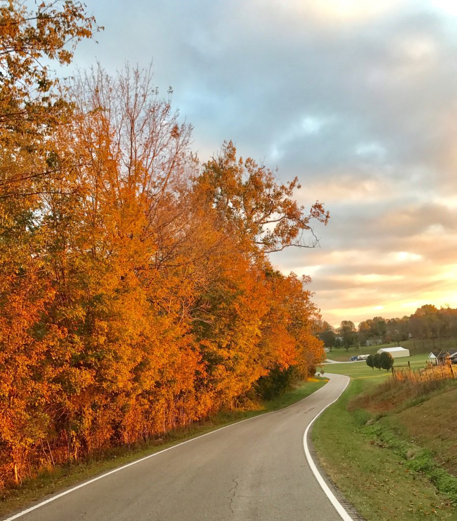 Kentucky's fall colors