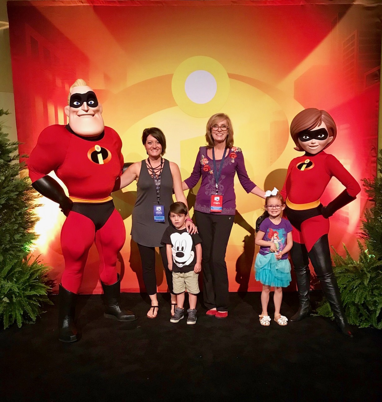 Incredibles 2 is Coming June 15th!