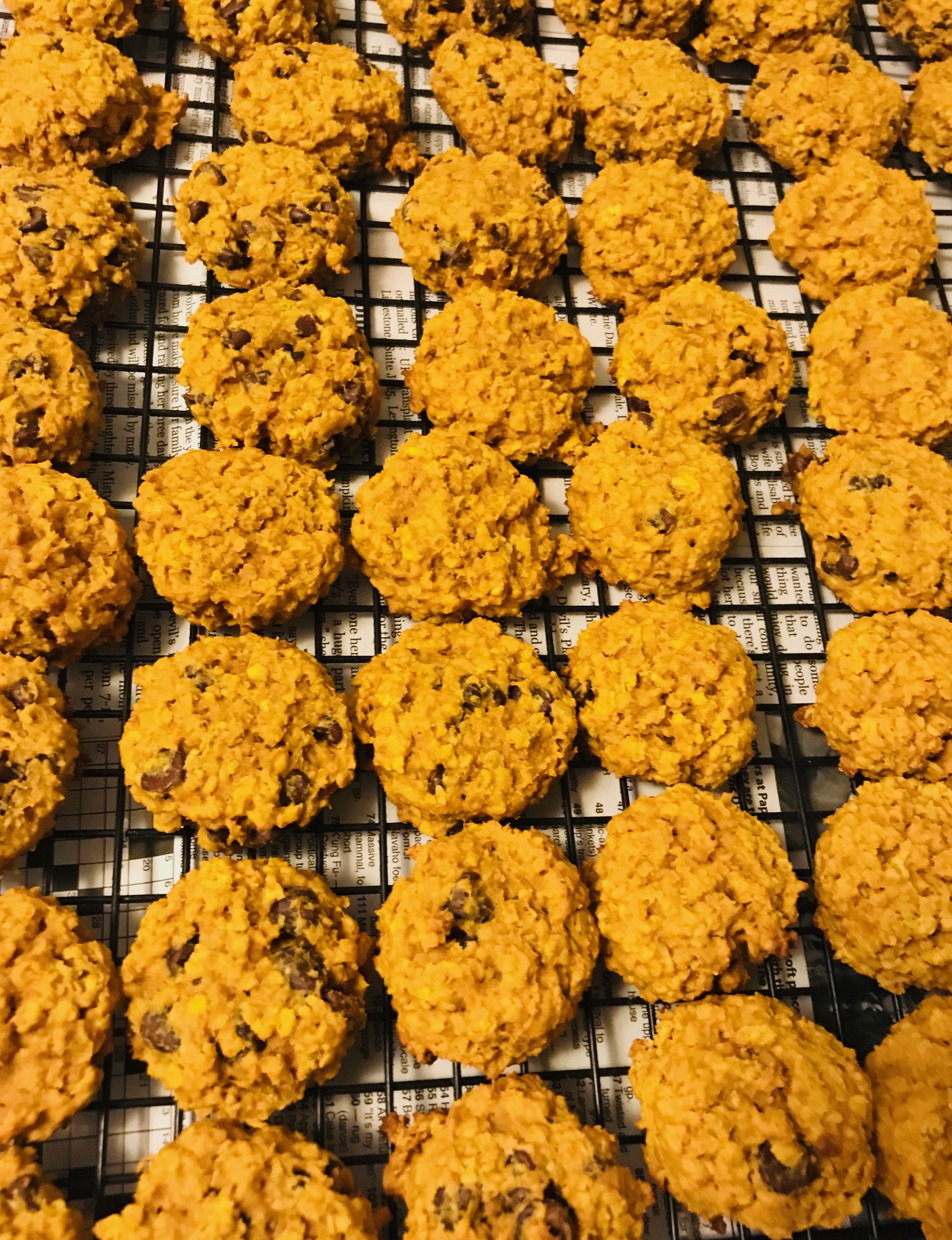 Pumpkin Oatmeal Cookies- 4 Versions for You to Choose From