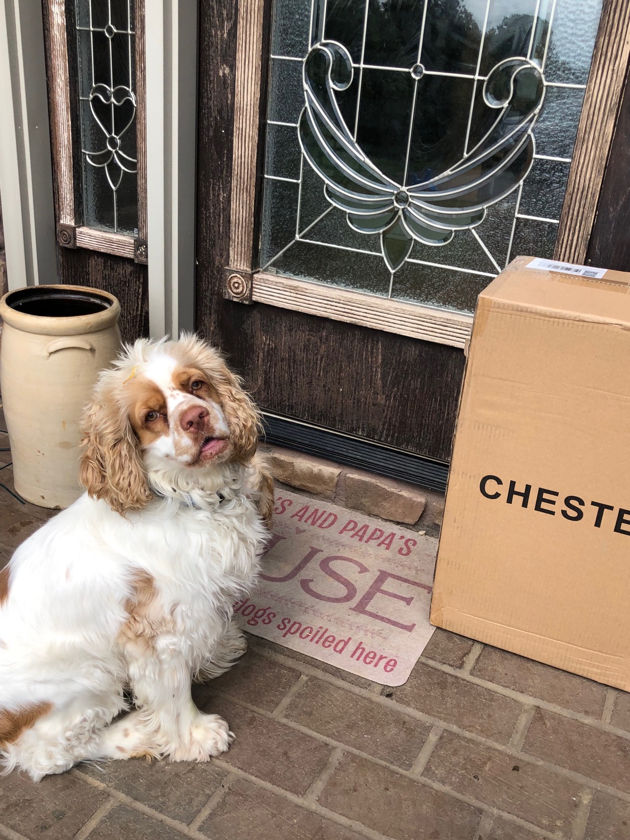 I’m in Love with Chester! (luggage)