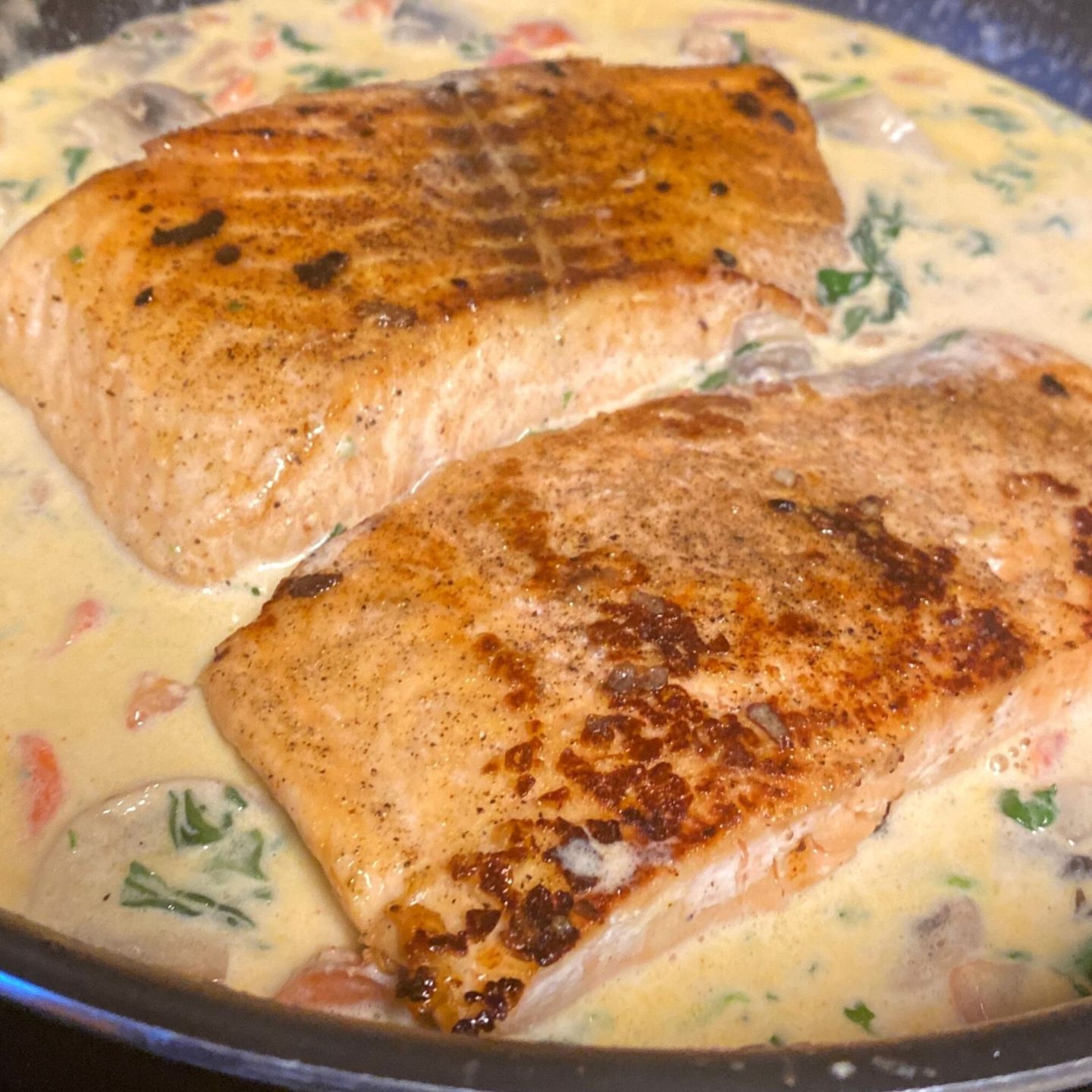 salmon filets in cream and creamy vegetable sauce