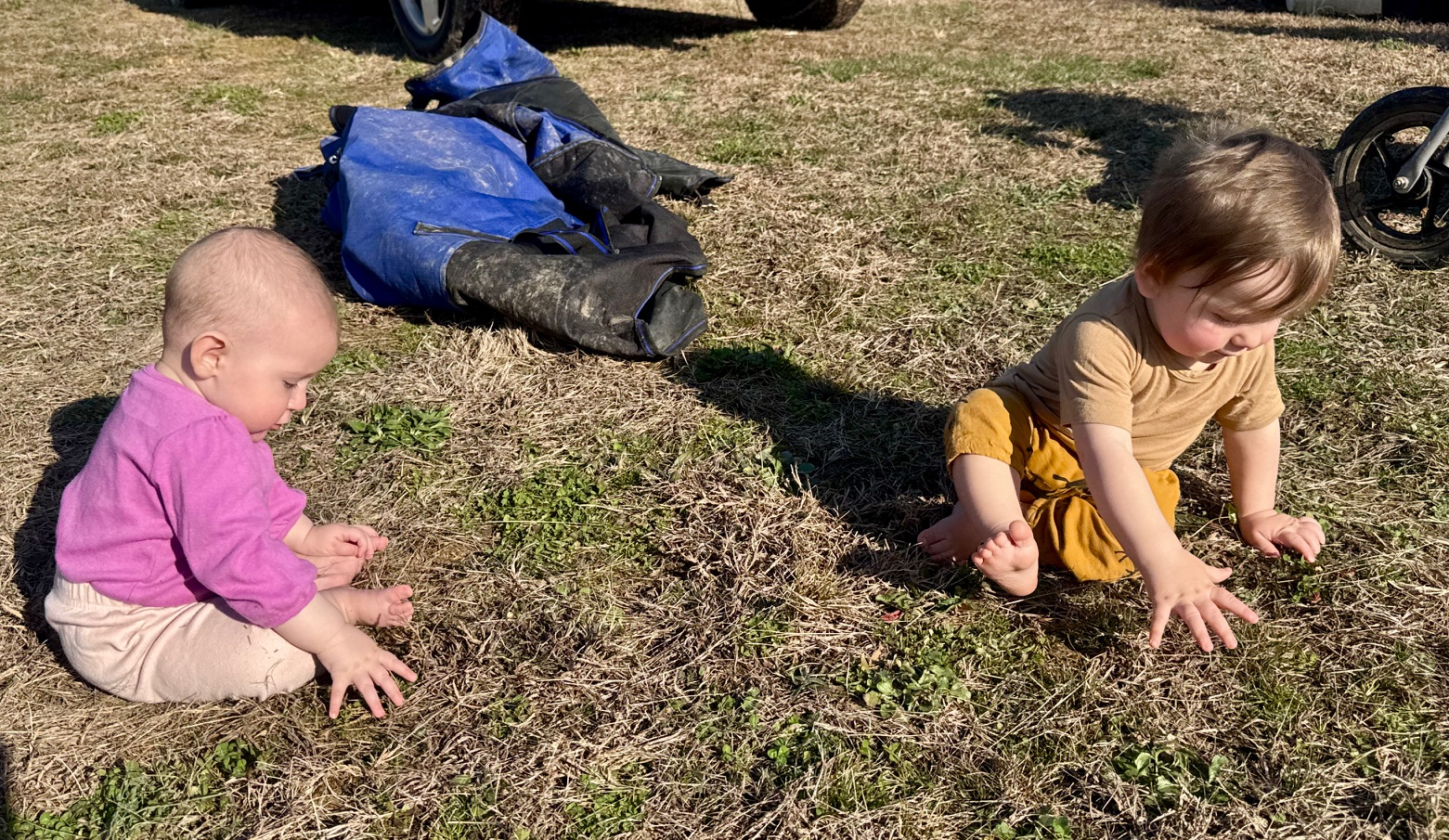 Sunshine Makes Me Happy, How about you?